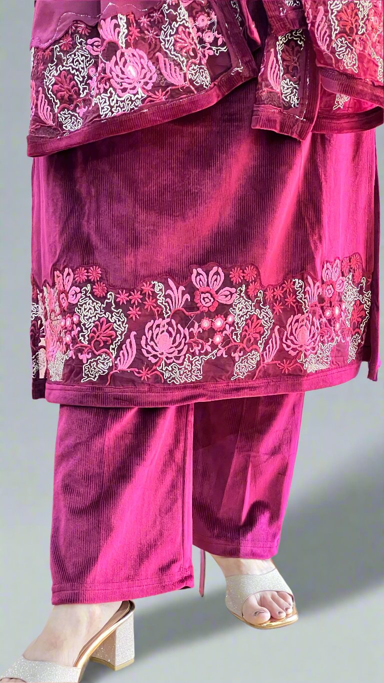 Ashna velvet suit