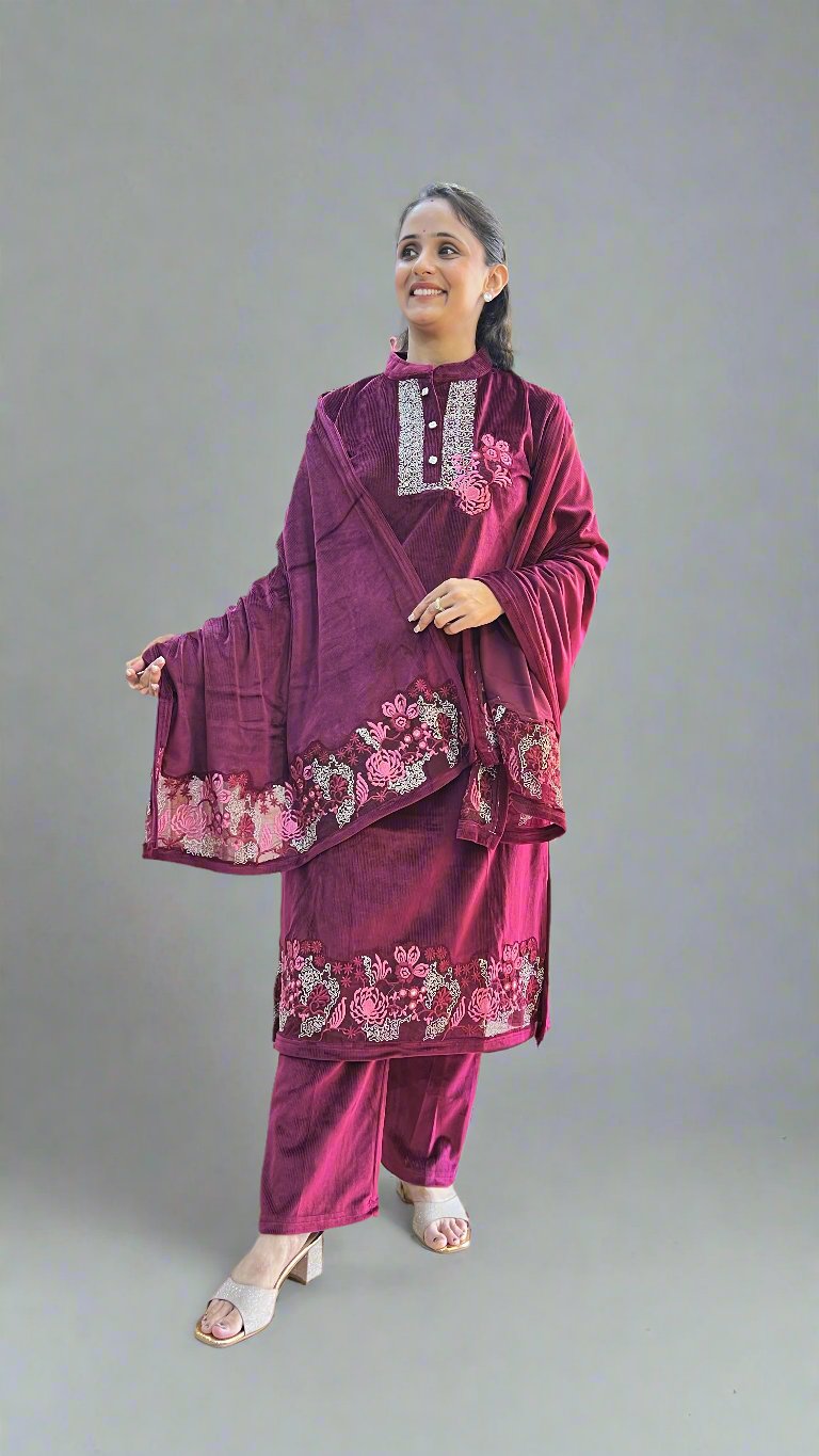Ashna velvet suit