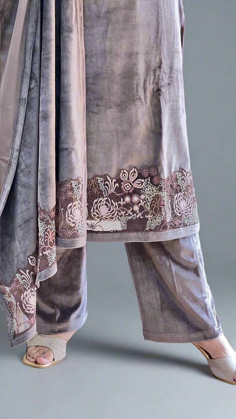 Ashna velvet suit