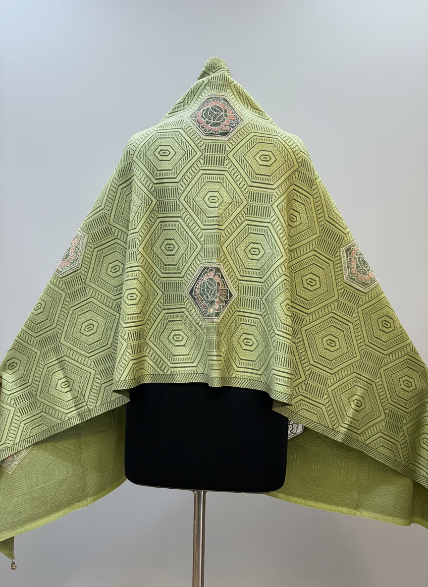 All embroidered ponchu stole