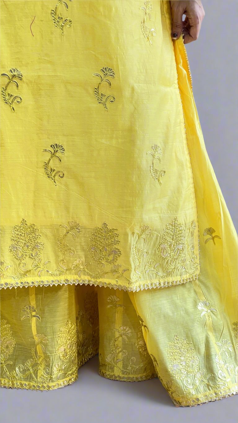 gotta patti suit with divider plazo