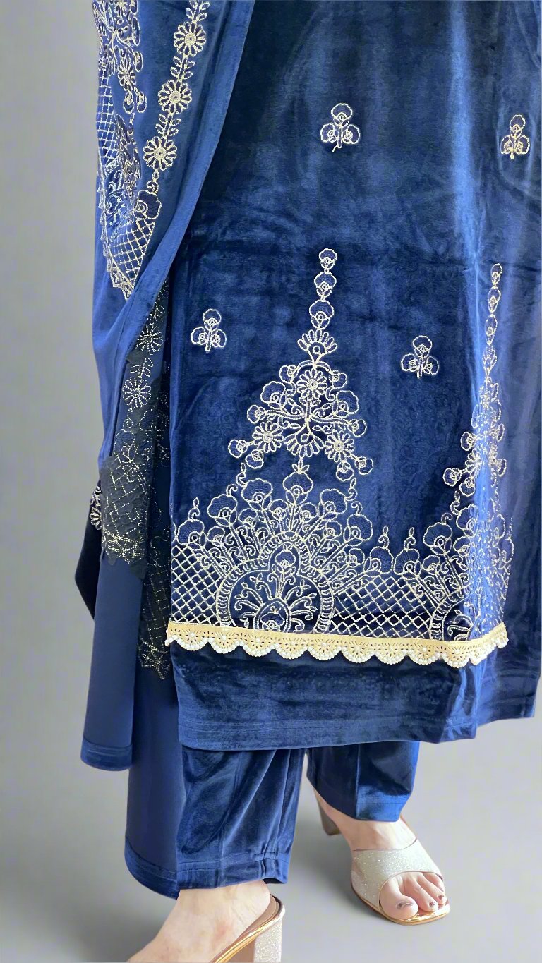 agthya embroidered velvet suit