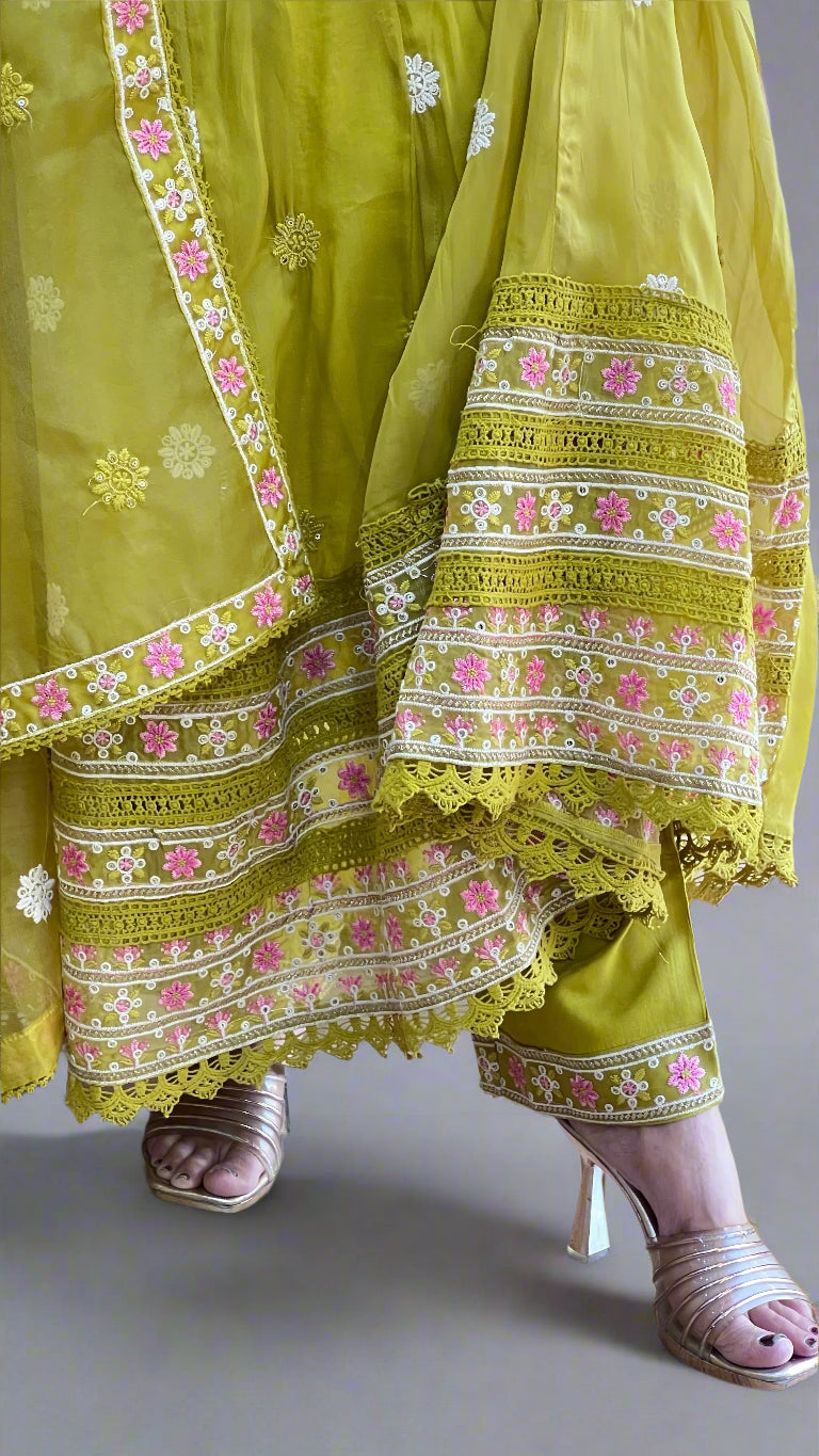 avi organza anarkali suit