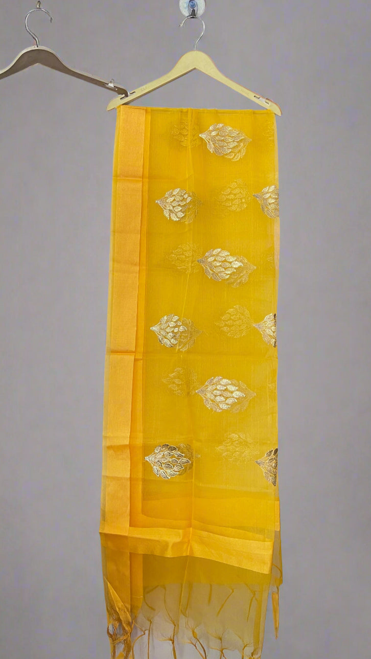 Premium tissue zari work dupatta