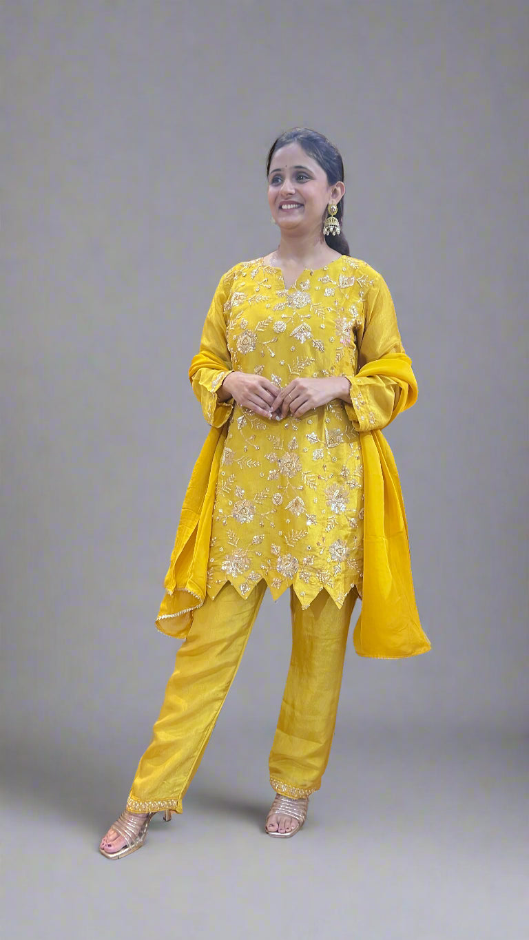 Hand work designer suit ( shimmer tissue fabric )