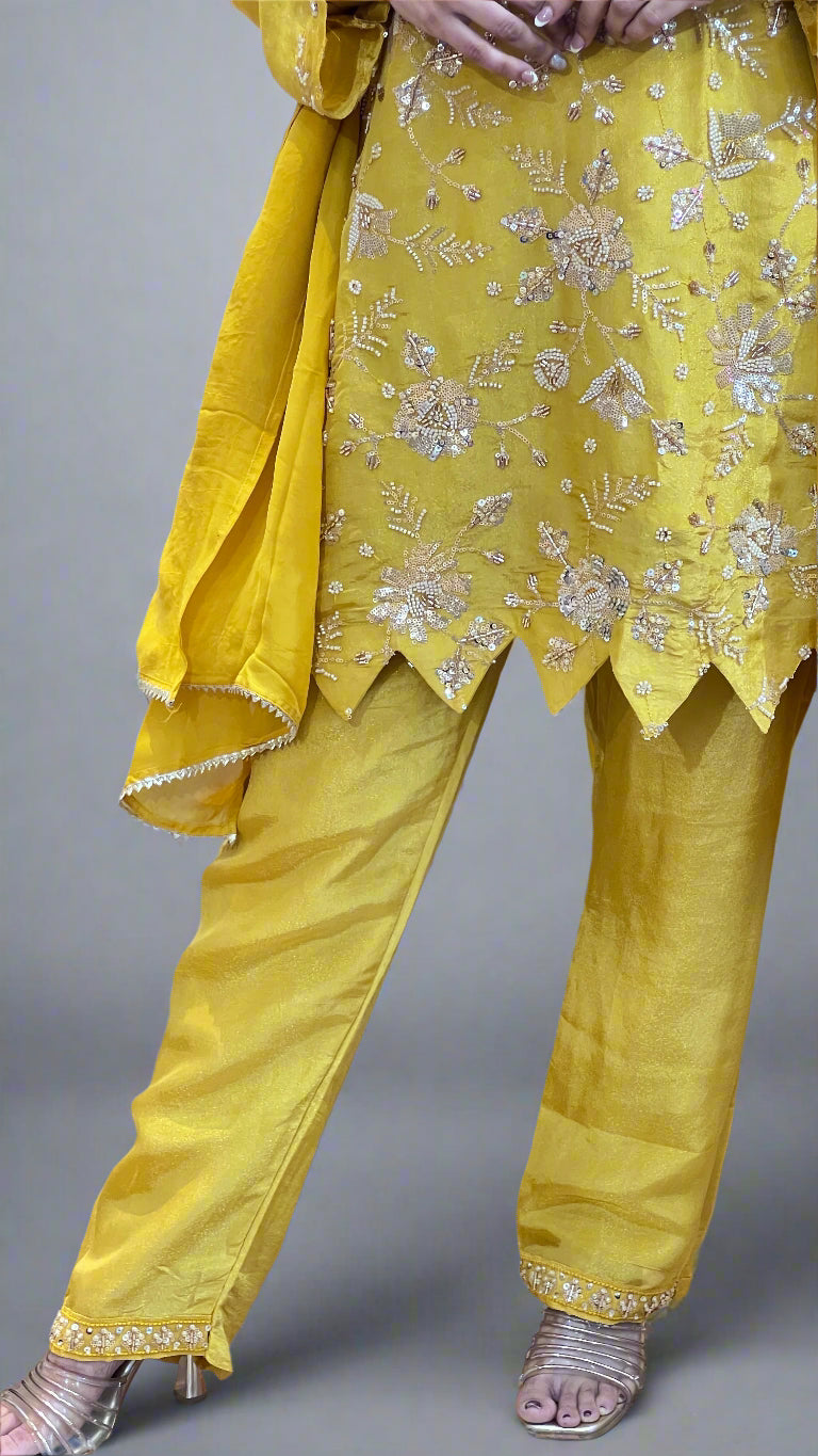 Hand work designer suit ( shimmer tissue fabric )