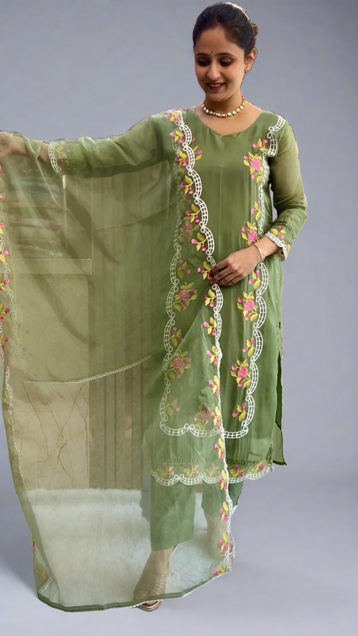 Organza Pakistani Suit